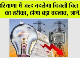 Haryana News