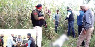 Jalandhar News