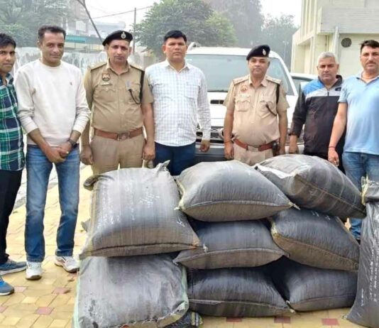 फॉर्च्यूनर गाड़ी से 203 किलो 410 ग्राम डोडा पोस्त बरामद, आरोपी धुंध में चकमा देकर फरार Kaithal News