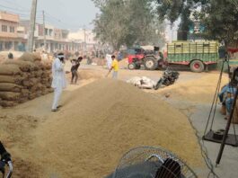 Kaithal News