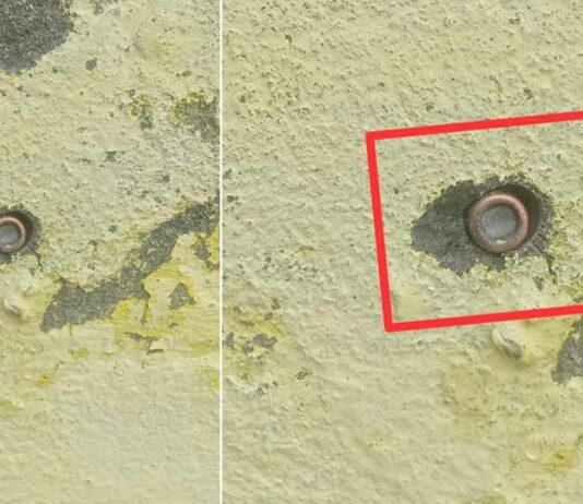 जमीनी विवाद के चलते भतीजे ने विधवा चाची पर चलाई सीधी गोली Kaithal News