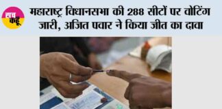 Maharashtra Assembly Elections 2024 LIVE