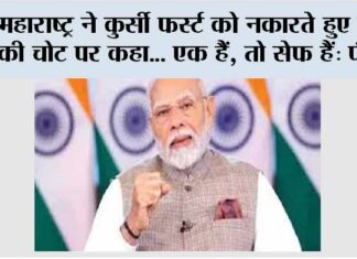 Maharashtra Election Results 2024: