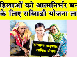 Matrushakti Udyamita Yojana