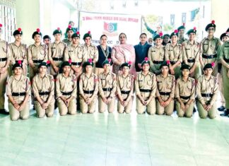 Sirsa News