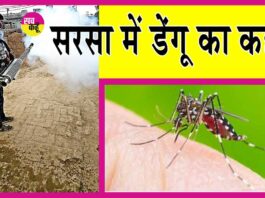 Sirsa Dengue News: सरसा में डेंगू का डर! 7 को और लगा डंक! Sirsa Dengue News