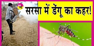 Sirsa Dengue News