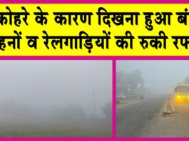 Sirsa Weather: सुबह-सवेरे छाया कोहरे का कहर! रोकी रोडवेज व रेलगाड़ी की रफ्तार Sirsa Weather