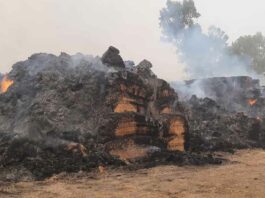 पराली की गांठों में लगी भीषण आग, 12 लाख का नुक्सान Firozpur News