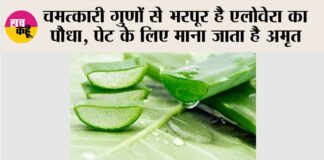 Aloe Vera Benefits