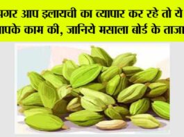 Cardamom