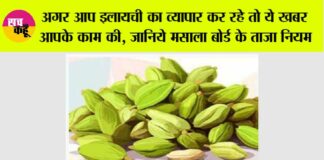 Cardamom