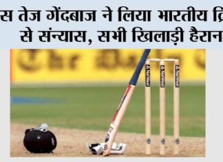 Cricket News: