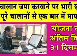 Amnesty Scheme