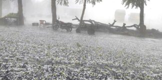 Haryana Weather