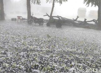 Haryana Weather
