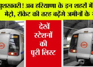 Haryana Metro News