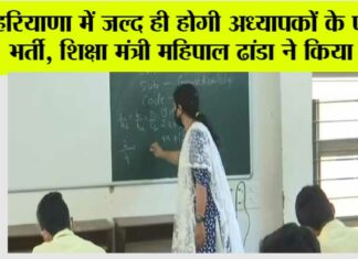 Haryana Teacher Bharti