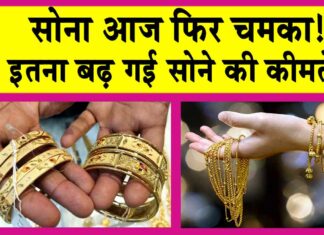 Gold Price Today
