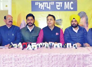 Jalandhar News