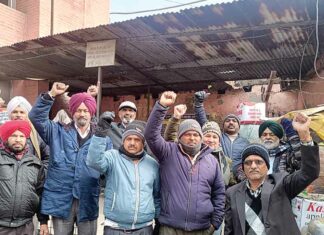 Jalandhar News