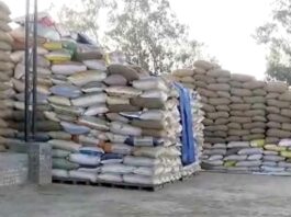 सीएमआर का कार्य शुरू नहीं होने से राइस मिलर उठा रहे हर महीने लाखों रूपये का नुकसान Kaithal News