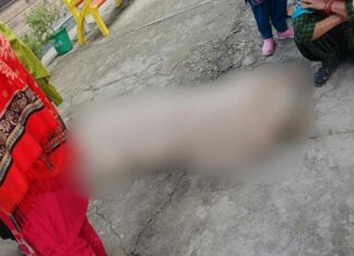 हरियाणा में छोटे बेटे ने रोका बुजुर्ग पिता का दाह संस्कार, हत्या का लगाया आरोप, पुलिस ने शव का पोस्टमार्टम करवाया Karnal News