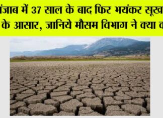 Punjab Weather