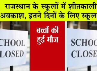 School Winter Holidays