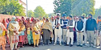 Sirsa News