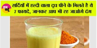 Turmeric Milk Benefits