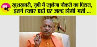 UP News