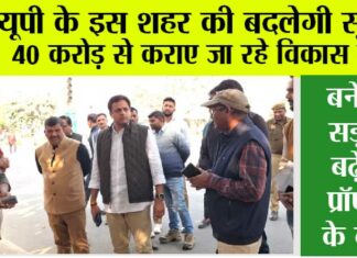UP News