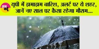 UP Weather News