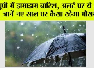 UP Weather News