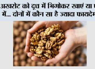 Walnuts Benefits