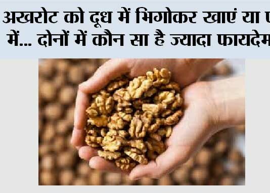 Walnuts Benefits: अखरोट को दूध में भिगोकर खाएं या पानी में… दोनों में कौन सा है ज्यादा फायदेमंद, यहां पढ़ें पूरी डिटेल.. Walnuts Benefits