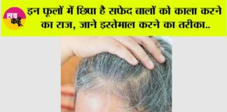 White Hair Problem