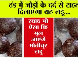 Winter Special Laddu