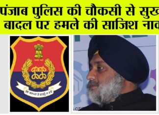 punjab news