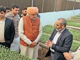 Sirsa News