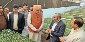 Sirsa News