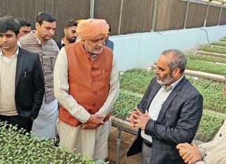 Sirsa News