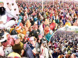 Budharwali MSG Bhandara