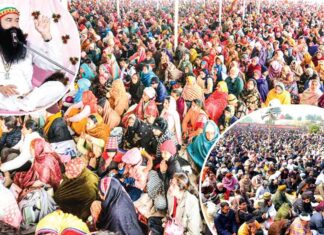 Budharwali MSG Bhandara: नामचर्चा सत्संग भंडारे पर उमड़ा ‘राजस्थान’ Budharwali MSG Bhandara