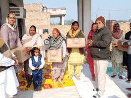 Dabwali News