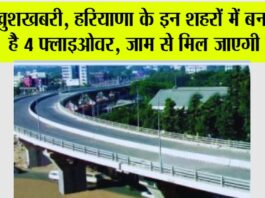 Flyover in Haryana