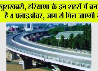 Flyover in Haryana