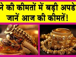 Gold-Silver Price Today: लगातार बढ़ोतरी के बाद सोने की कीमतों पर आई बड़ी अपडेट! Gold-Silver Price Today