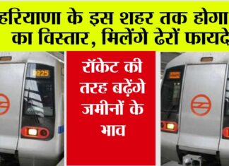 Haryana Metro News